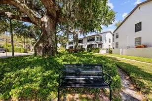 413 S Bayshore Blvd, Safety Harbor, FL 34695 - Photo 38