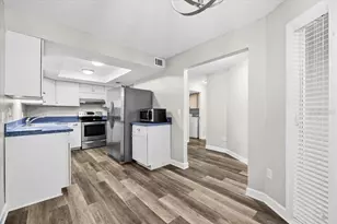 413 S Bayshore Blvd, Safety Harbor, FL 34695 - Photo 10