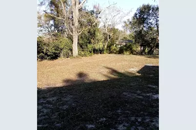 3695 Dale Court, Mount Dora, FL 32757 - Photo 4