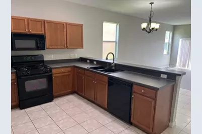 20119 Nob Oak Avenue, Tampa, FL 33647 - Photo 6