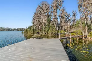 11008 Nest Ct, Odessa, FL 33556 - Photo 46
