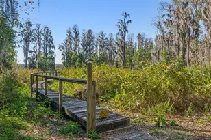 11008 Nest Ct, Odessa, FL 33556 - Photo 42