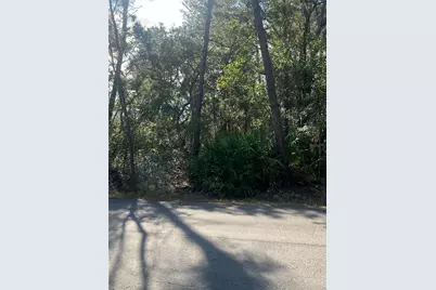 0 Yearling Avenue, Weeki Wachee, FL 34607 - Photo 2