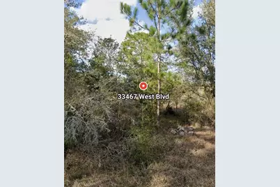 33467 West Boulevard, Ridge Manor Estates, FL 33597 - Photo 2