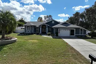 11420 Chalk Farm Rd, Spring Hill, FL 34609 - Photo 1