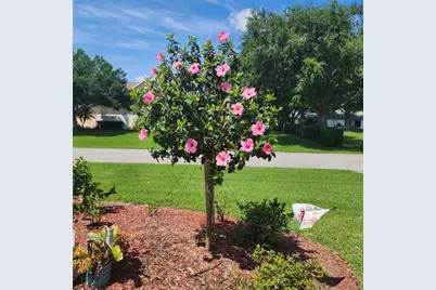 16 Meadowlake Circle S, Lake Placid, FL 33852 - Photo 36