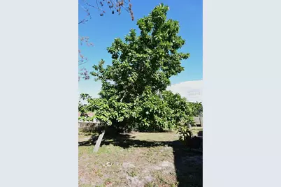 5845 Elm Street, New Port Richey, FL 34652 - Photo 36