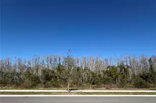 17594 Pleasantview Blvd, Land O Lakes, FL 34637 - Photo 40