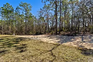 13088 Velvet Scoter Ave, Brooksville, FL 34614 - Photo 40