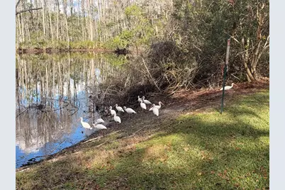 12155 Environmental Drive #6, New Port Richey, FL 34654 - Photo 28