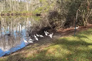 12155 Environmental Dr, New Port Richey, FL 34654 - Photo 28