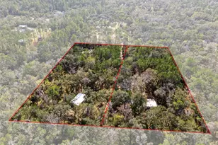 22439 Bull Run Rd, Brooksville, FL 34602 - Photo 54