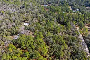 22439 Bull Run Rd, Brooksville, FL 34602 - Photo 56