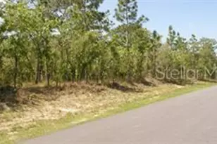 0 Petrel Ave, Weeki Wachee, FL 34614 - Photo 1