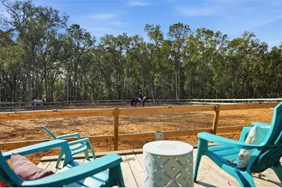 16000 Sam C Road, Brooksville, FL 34613 - Photo 68