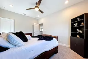 747 Cajeput Loop, Tarpon Springs, FL 34689 - Photo 66