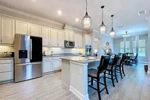 747 Cajeput Loop, Tarpon Springs, FL 34689 - Photo 4