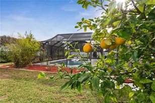 581 Longwood Ct, Oldsmar, FL 34677 - Photo 32