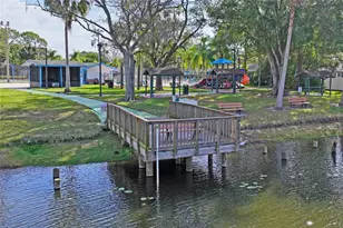 581 Longwood Ct, Oldsmar, FL 34677 - Photo 46