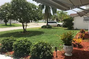 3633 Cockatoo Dr, New Port Richey, FL 34652 - Photo 4