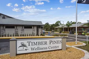 2587 Crystal Lake Dr, Spring Hill, FL 34606 - Photo 40