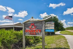 3877 Burdick Loop, Odessa, FL 33556 - Photo 66