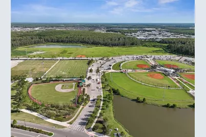 3877 Burdick Loop, Odessa, FL 33556 - Photo 58