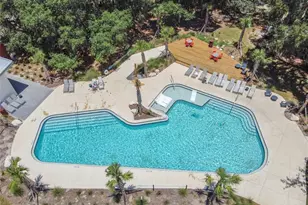 3877 Burdick Loop, Odessa, FL 33556 - Photo 50