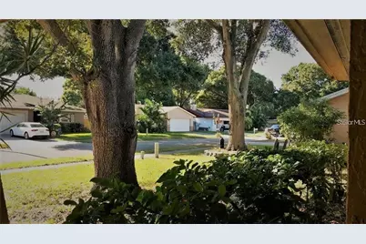 2001 Groveland Road, Palm Harbor, FL 34683 - Photo 22