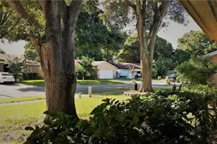 2001 Groveland Rd, Palm Harbor, FL 34683 - Photo 22