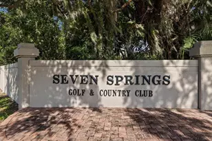 3353 Trophy Blvd, New Port Richey, FL 34655 - Photo 38