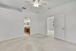 8049 Sanguinelli Rd, Land O Lakes, FL 34637 - Photo 20