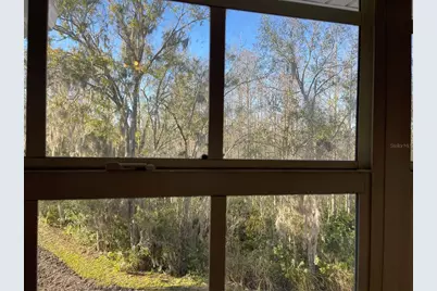 21107 Fountain View Lane #5301, Lutz, FL 33558 - Photo 12