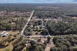 11990 SE 55th Ln, Morriston, FL 32668 - Photo 34