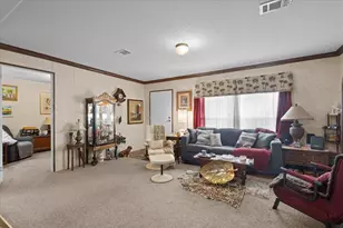 5829 NW 11th Ave, Bell, FL 32619 - Photo 6