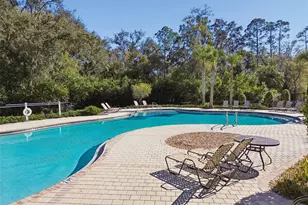 6065 Spring Crayfish Ave, New Port Richey, FL 34653 - Photo 52