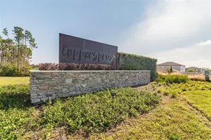 6065 Spring Crayfish Ave, New Port Richey, FL 34653 - Photo 2