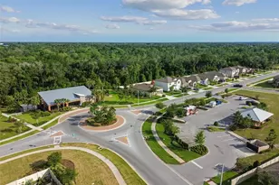 6065 Spring Crayfish Ave, New Port Richey, FL 34653 - Photo 58