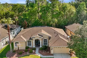 4240 Gevalia Dr, Brooksville, FL 34604 - Photo 8