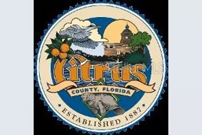 647 W Tulip Lane, Citrus Springs, FL 34434 - Photo 4