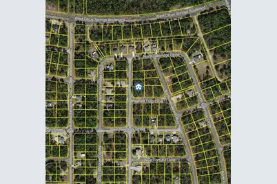 647 W Tulip Lane, Citrus Springs, FL 34434 - Photo 2