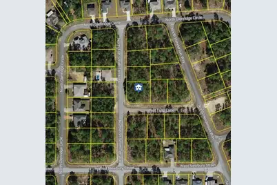 647 W Tulip Lane, Citrus Springs, FL 34434 - Photo 1