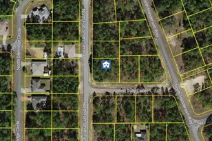 647 W Tulip Ln, Citrus Springs, FL 34434 - Photo 1