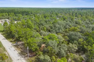 15236 Mottled Owl Rd, Brooksville, FL 34614 - Photo 30