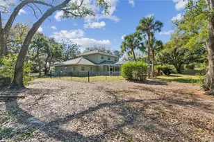 11003 Nest Ct, Odessa, FL 33556 - Photo 46