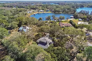 11003 Nest Ct, Odessa, FL 33556 - Photo 54