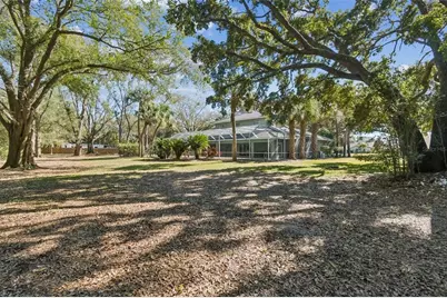 11003 Nest Court, Odessa, FL 33556 - Photo 44