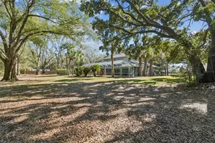 11003 Nest Ct, Odessa, FL 33556 - Photo 44