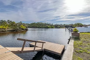 1166 Chancellor Dr, Holiday, FL 34690 - Photo 48