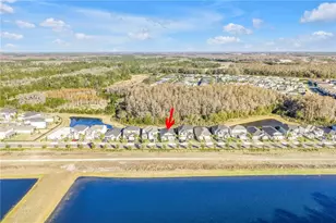 2900 Lilla Trl, Odessa, FL 33556 - Photo 50